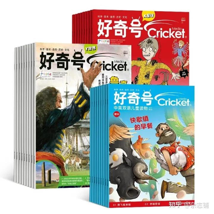 五年级订阅的报刊杂志推荐,国产最值得订阅的十大杂志