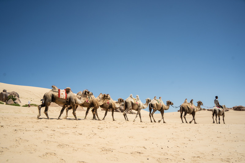 赤峰周边最美的公路,赤峰中国草原自驾游旅游胜地