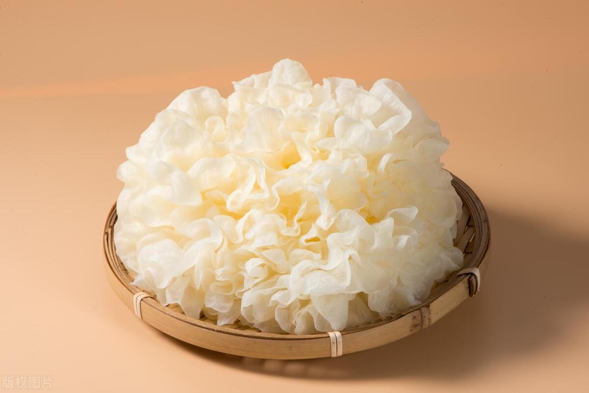 润肺养肺银耳跟什么搭配比较好,银耳养肺怎么做