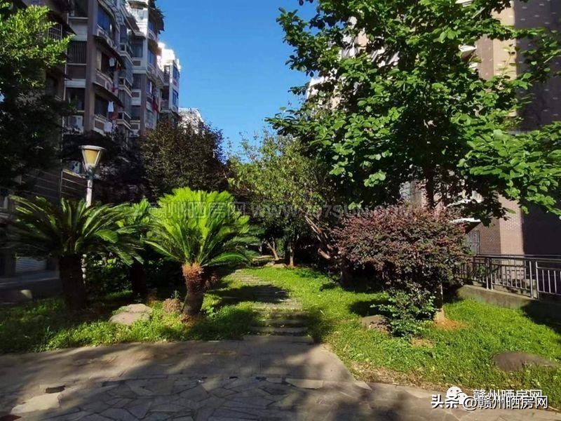 赣州金樽花园是哪年的房子,赣州金樽花园房价