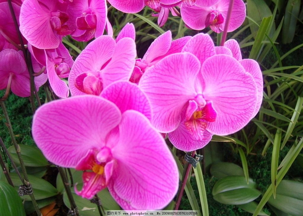 妊娠情感事记（2）彩超室里的尴尬让我对医生的工作多了尊敬