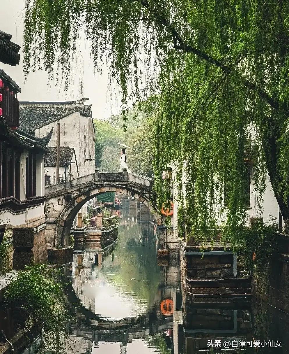 中国园林看江南江南园林看苏州,苏州园林江南园林甲天下