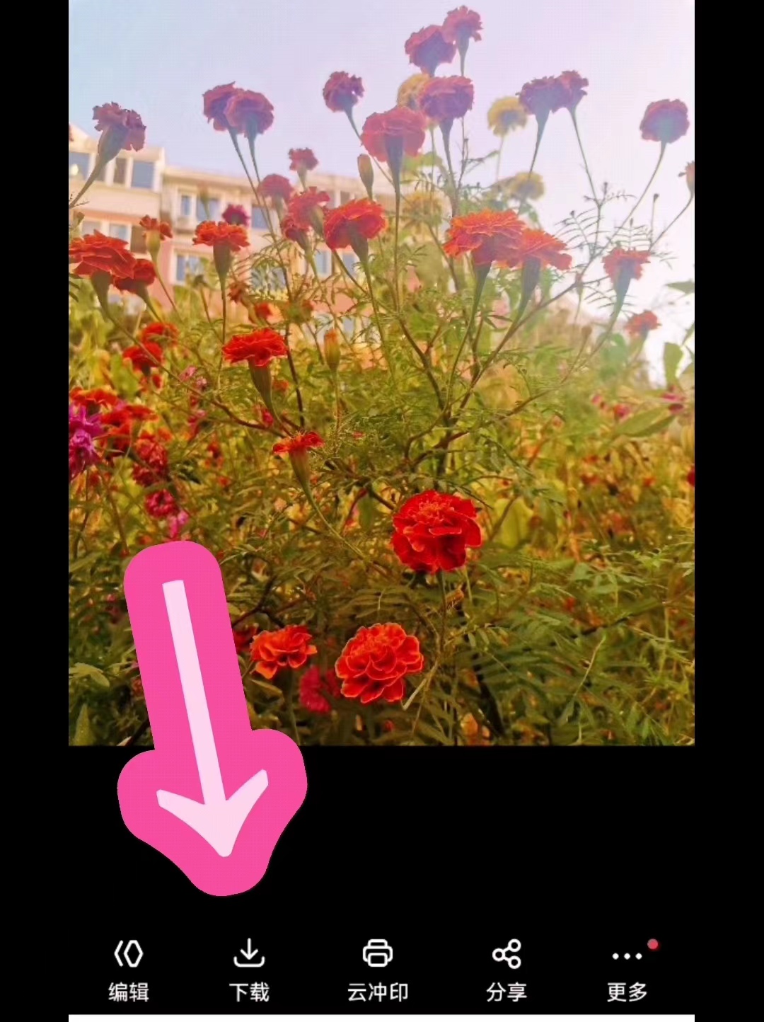 如何查看分秒帧网盘容量,怎么查看网盘