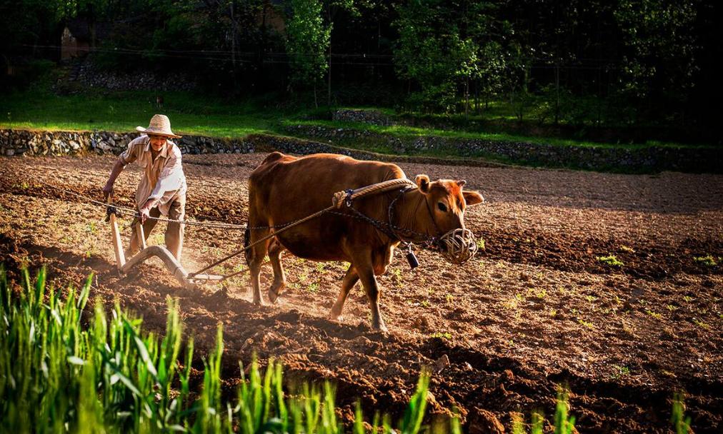 春耕备耕正当时七绝诗歌,春耕时节诗词鉴赏
