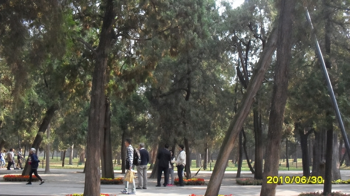 孔府孔庙孔林曲阜,孔府孔庙孔林纪录片完整版