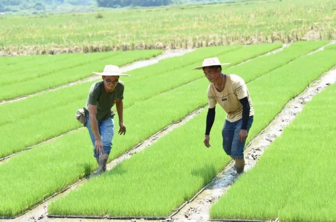 中国男性人口近60年首次减少,40年来男性人口首次减少