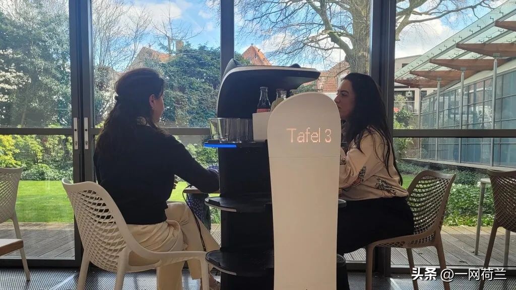 餐厅可以用机器人代替服务人吗,荷兰餐厅服务