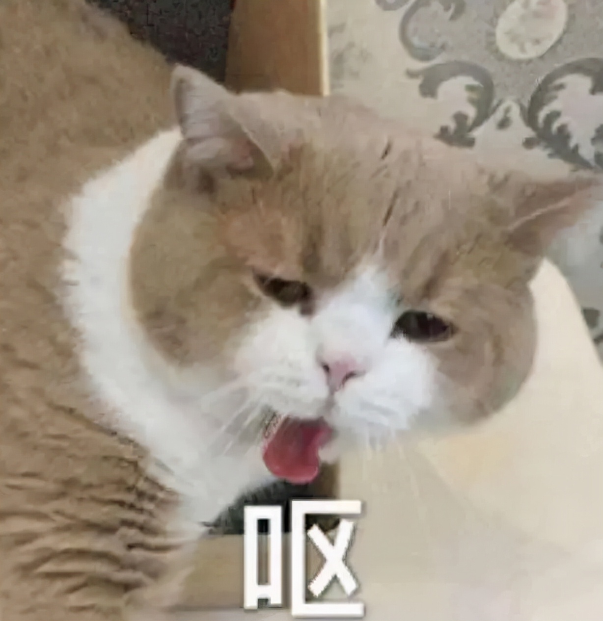 看完315晚会的感想,看315晚会感受