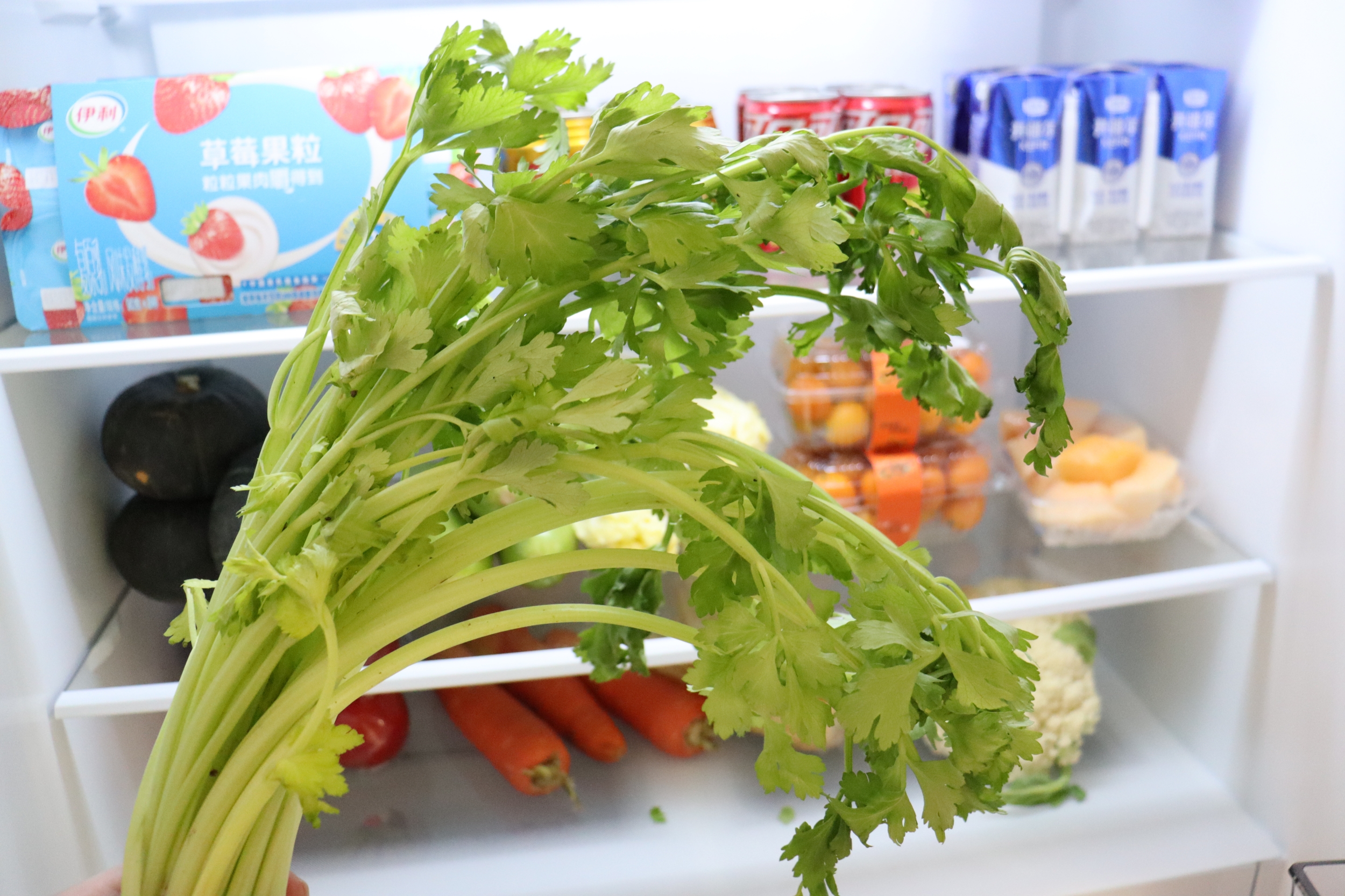 如何选购家用冰箱的六个注意事项,选冰箱口诀