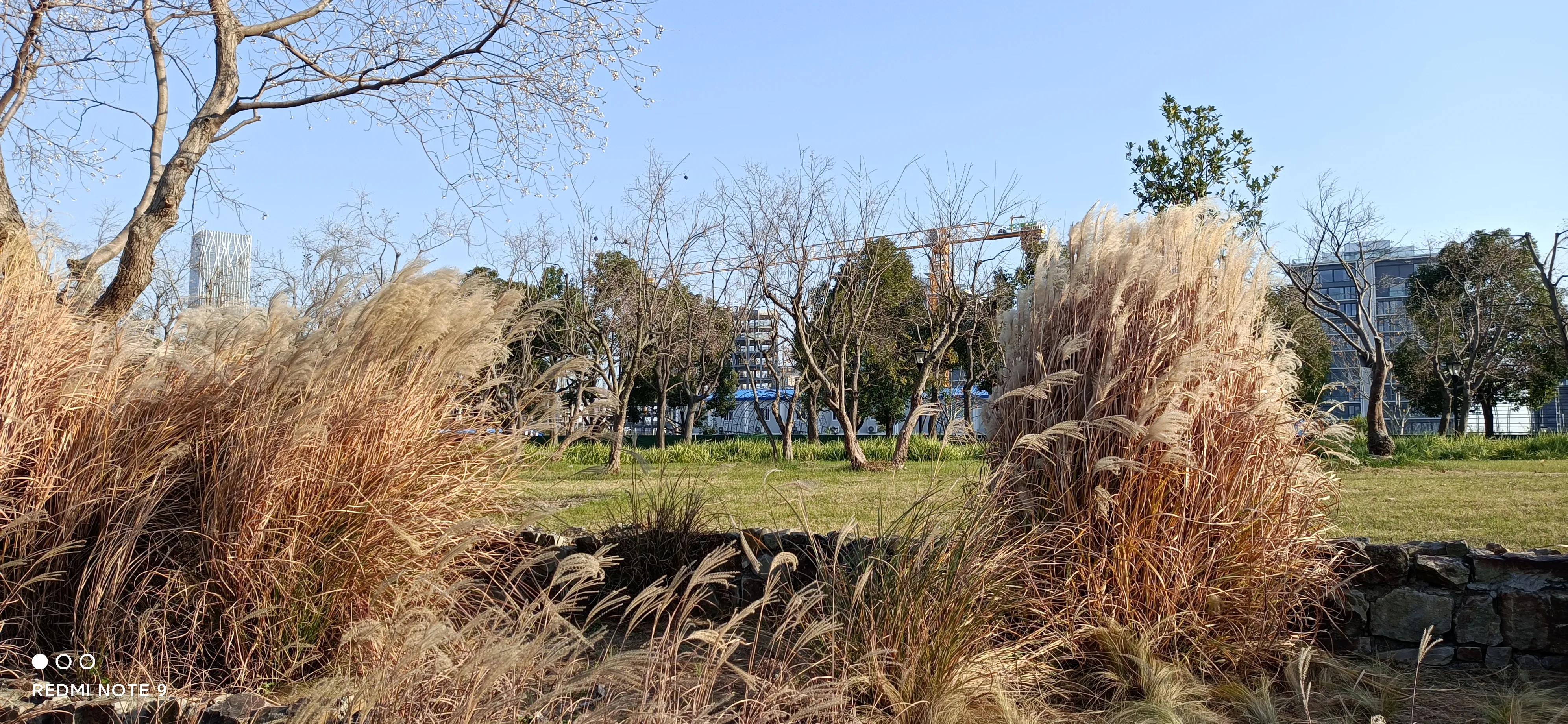 浦东前滩效果图,上海浦东前滩将开的新楼盘