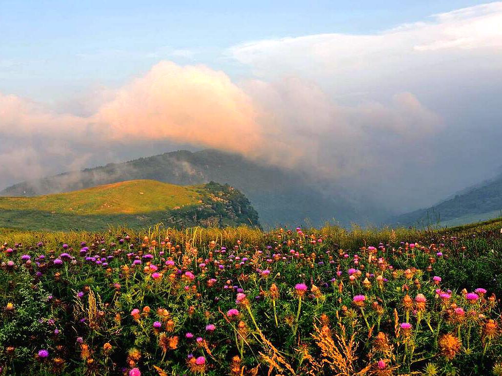 五台山和太行山哪个好玩,五台山和南太行哪个徒步更好