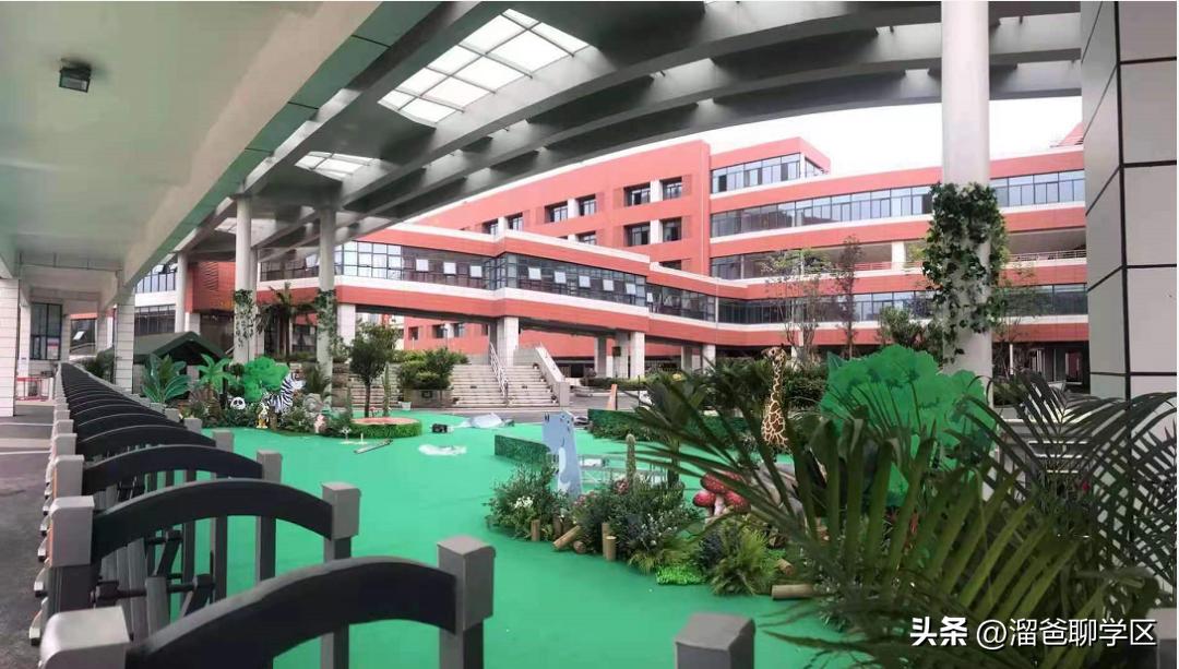 提前一年落户能读桂雅路小学吗,提前一年落户的学校