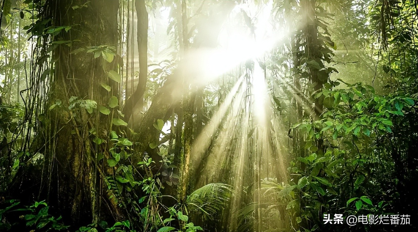 十大值得一看的中国纪录片,震撼的十部中国纪录片