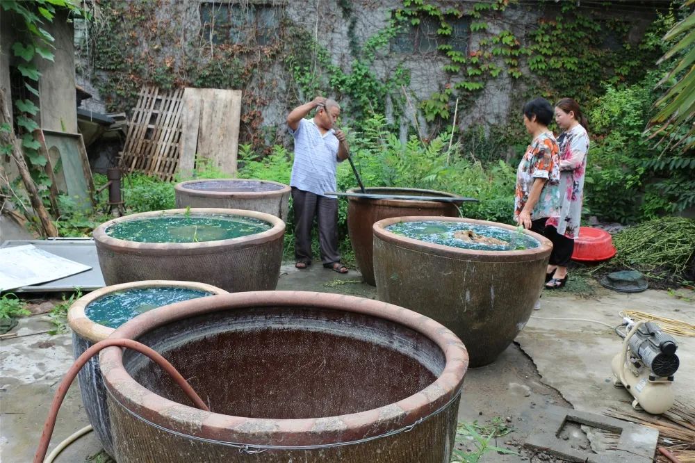 泥沟青花布的工艺,枣庄泥沟青花布