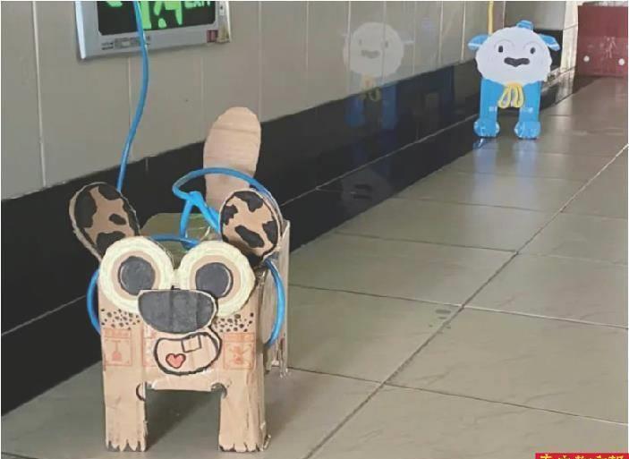 养芒果和当宠物,为什么养芒果核当宠物