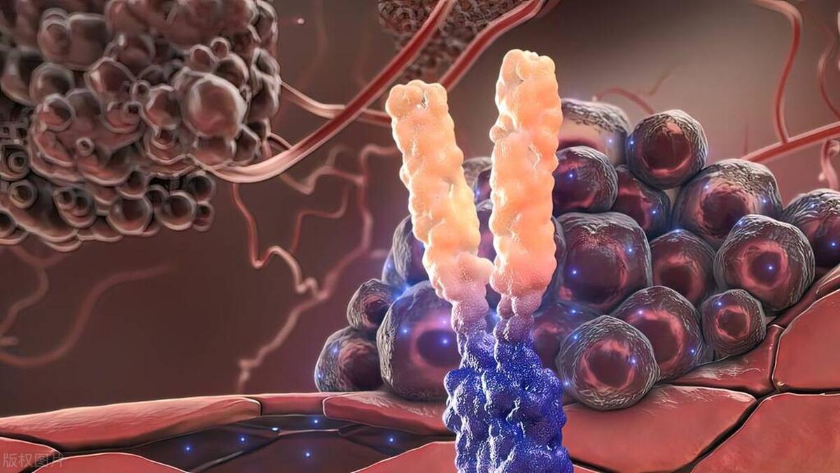 少一个肾有什么影响男性,男人少一颗肾会有什么影响