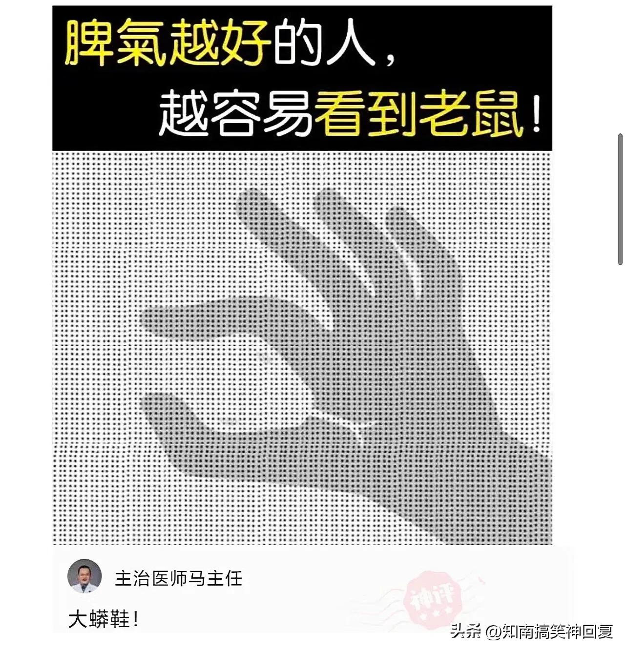 神回复绝了全是套路,神回复如果是你你会怎么选