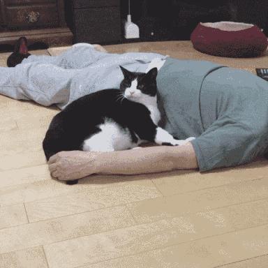 5种“香水猫”，身上自带体香，一只比一只香，多养几只香满屋