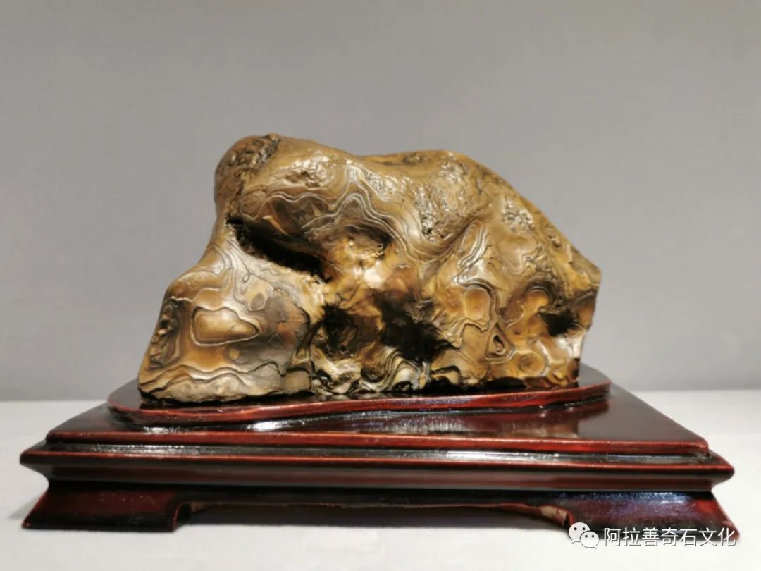 阿拉善奇石博物馆,阿拉善黄碧玉奇石