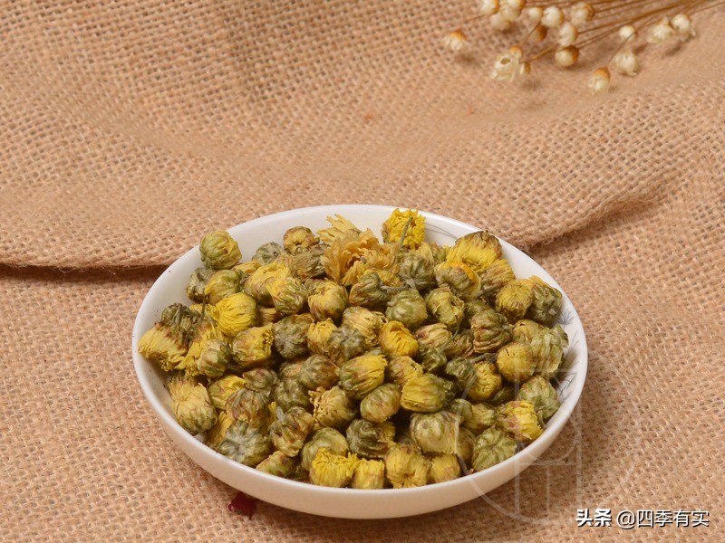 胎菊小菊花,含苞待放花娇艳