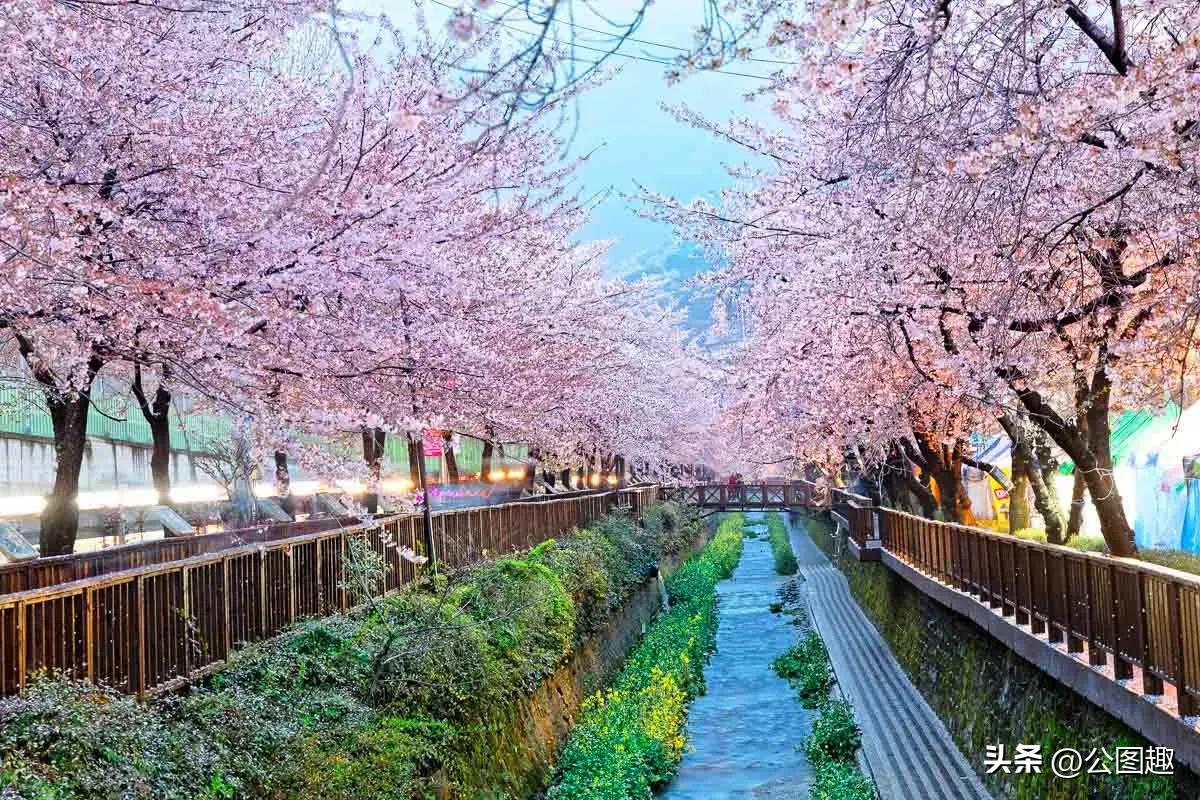 中国女旅行家,世界上最美五十个城市