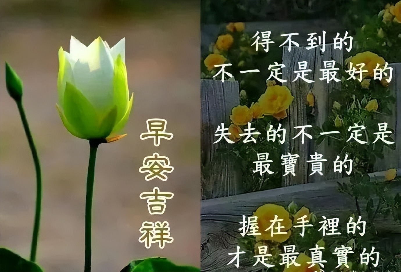 问候语祝福朋友的句子暖心,问候祝福朋友开心快乐的温馨句子