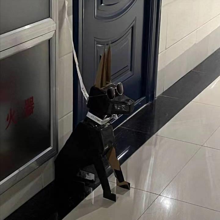 大学让养宠物啦？宿舍门口“看门狗”镇宅，不仔细瞅还真得一激灵