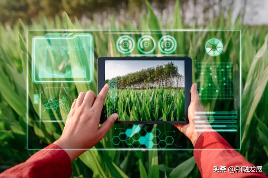 农业转型升级对标高效农业的思考,农业转型发展与乡村振兴