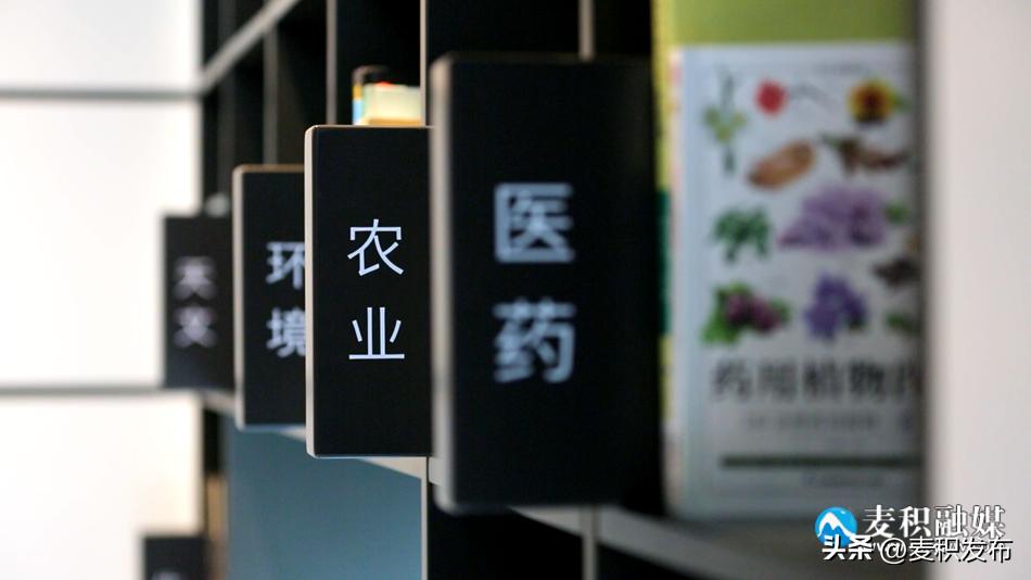 麦积区图书馆,麦积区哪个图书馆可以看书