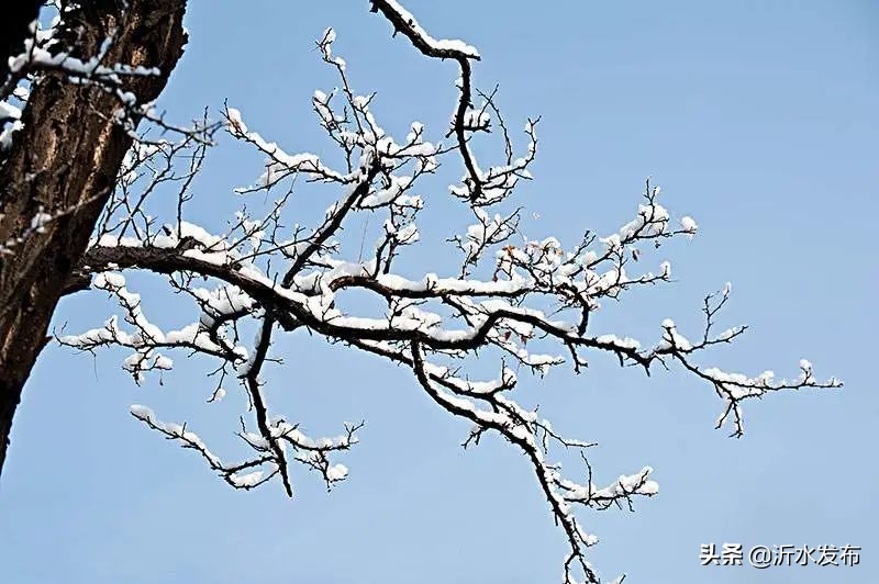 中国传统十二个月的别称,十二个月份的古代雅称