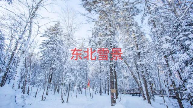 中国方言最多的省是哪个省,中国方言一共有多少种