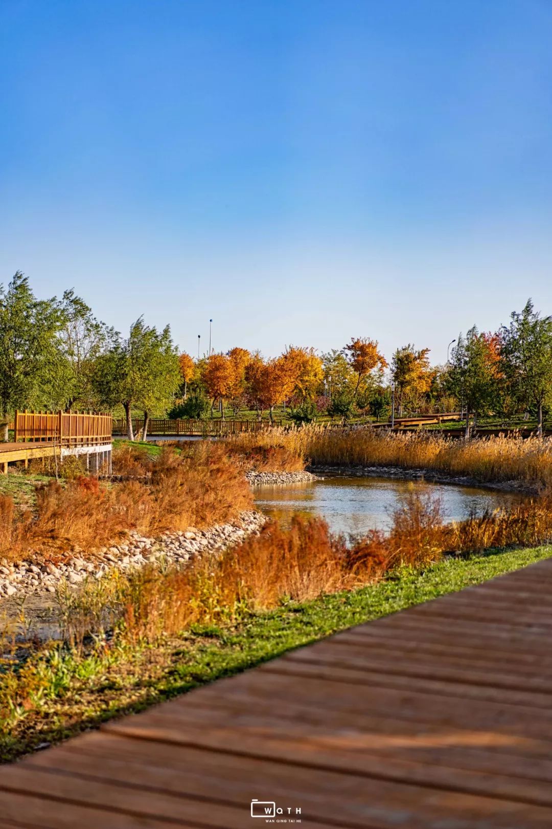 生态城城市公园,规划生态体育公园