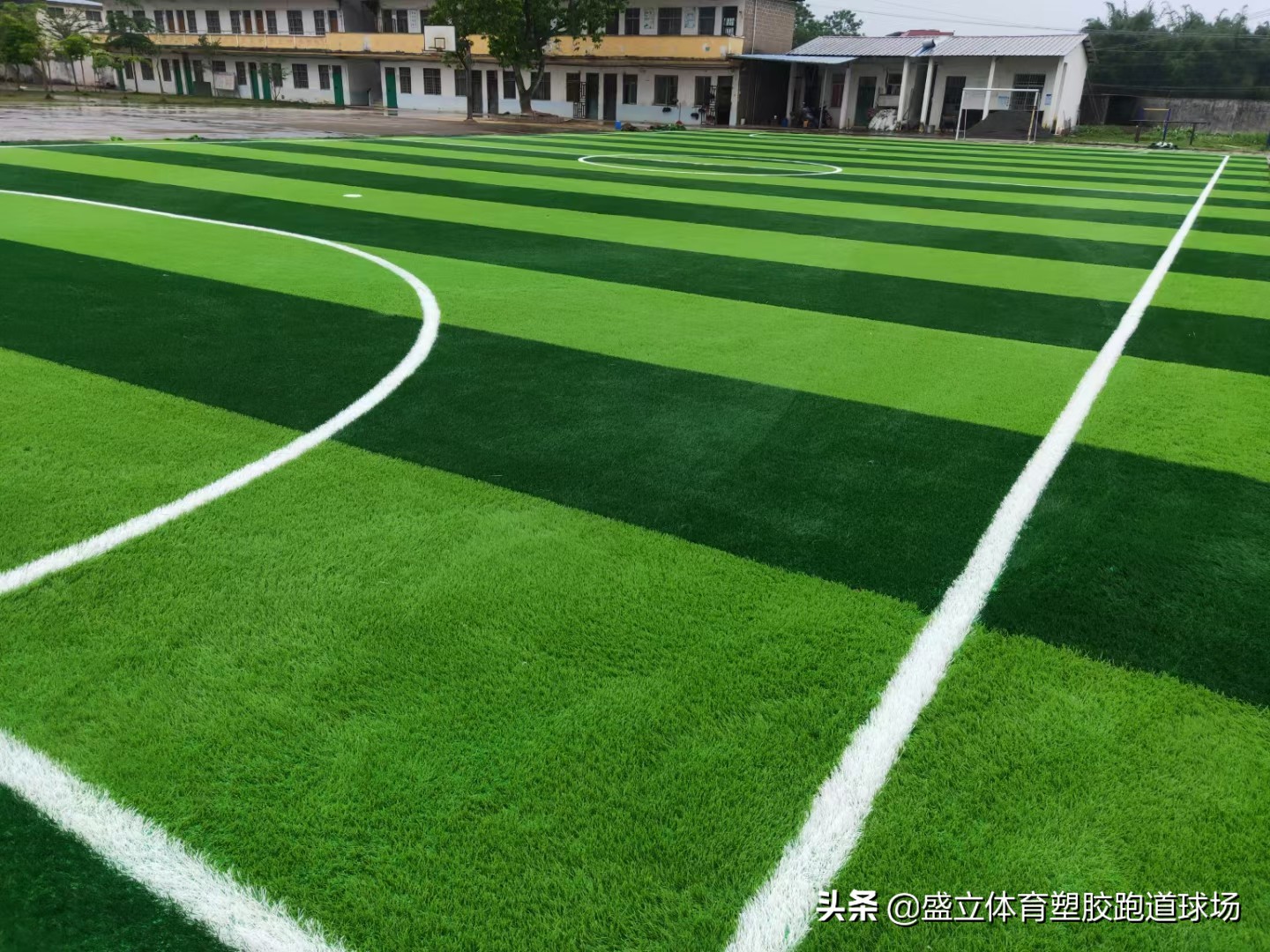 足球场人造草多少钱,人造草坪足球场电话