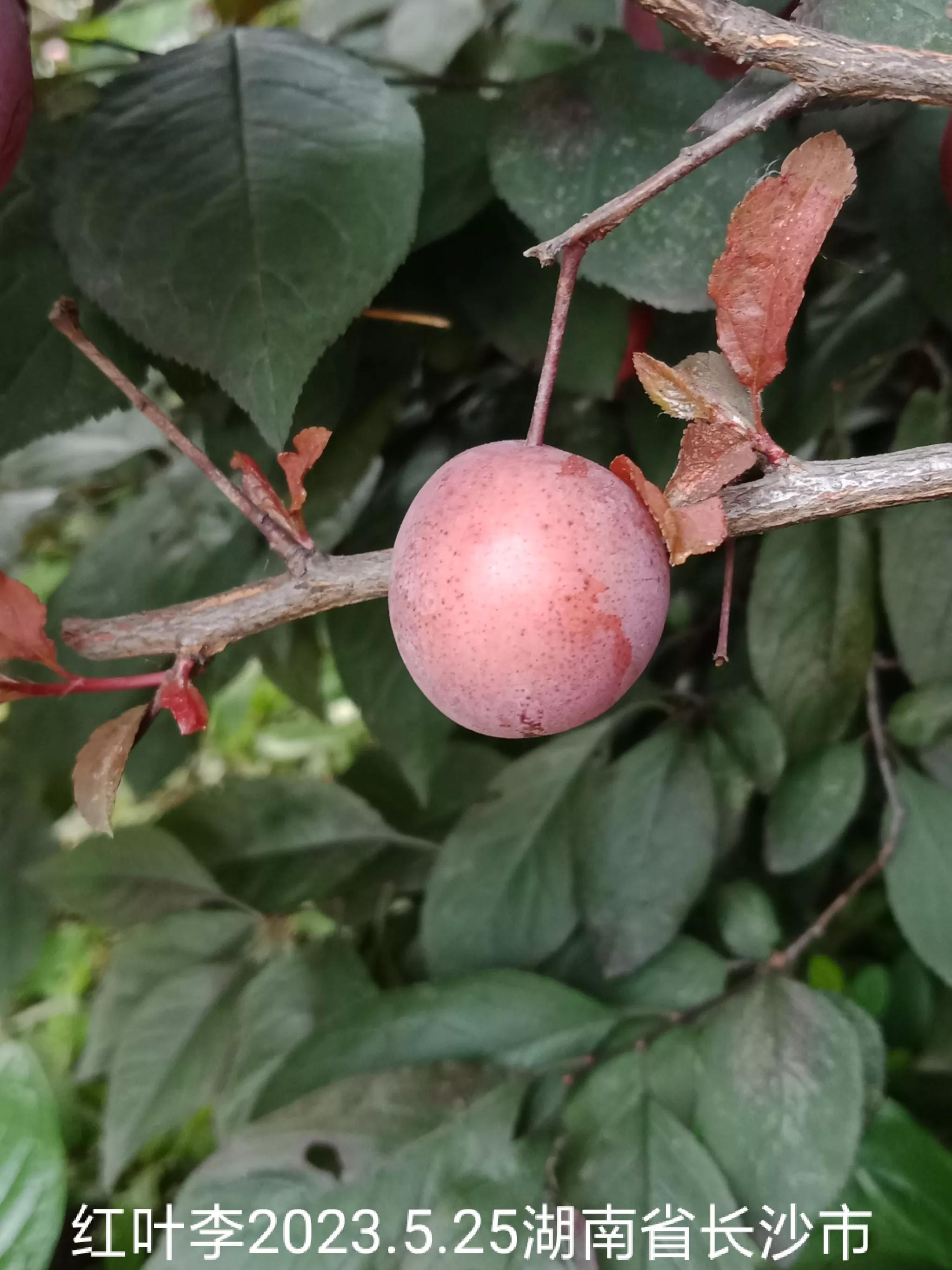 微信群忘保存找不到怎么办,怎么保存微信群里面的人