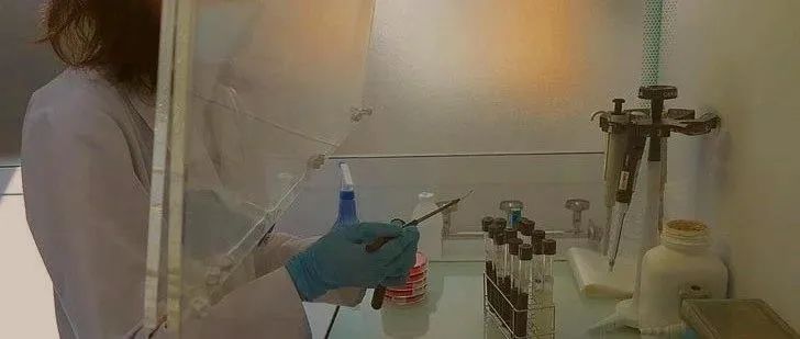 一名博导因漏在手套上的几滴试剂，298天后死亡