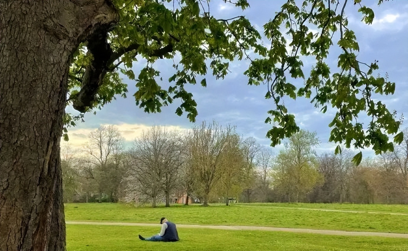 最美的十座园林,中国十大最美园林之留园
