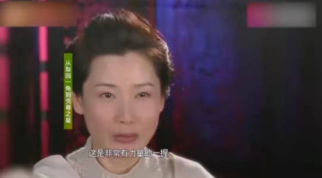 何赛飞高龄产子,丁克何赛飞