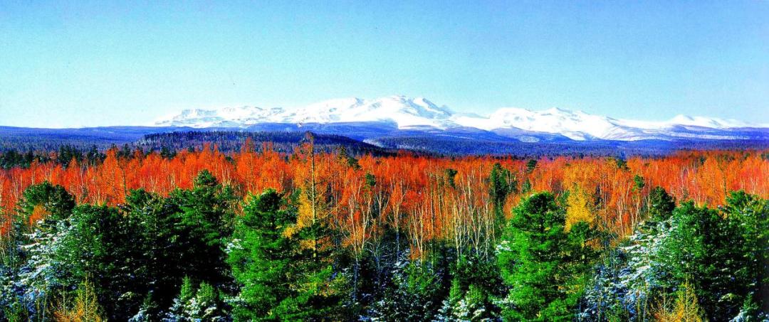 全国三大研学示范营地,三所基地