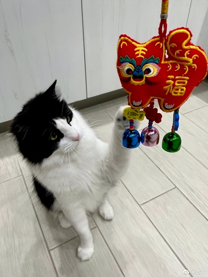 封神英雄榜纣王哭着摸妲己脸,纣王和妲己的黑历史