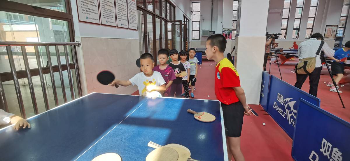 深圳南山的改革发展变化,深圳南山区教育改革