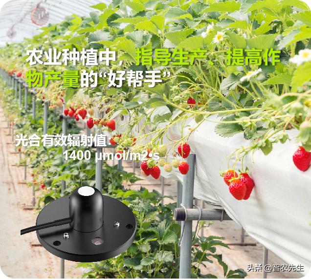 蔬菜种植提高效率的工具,作物种植好帮手