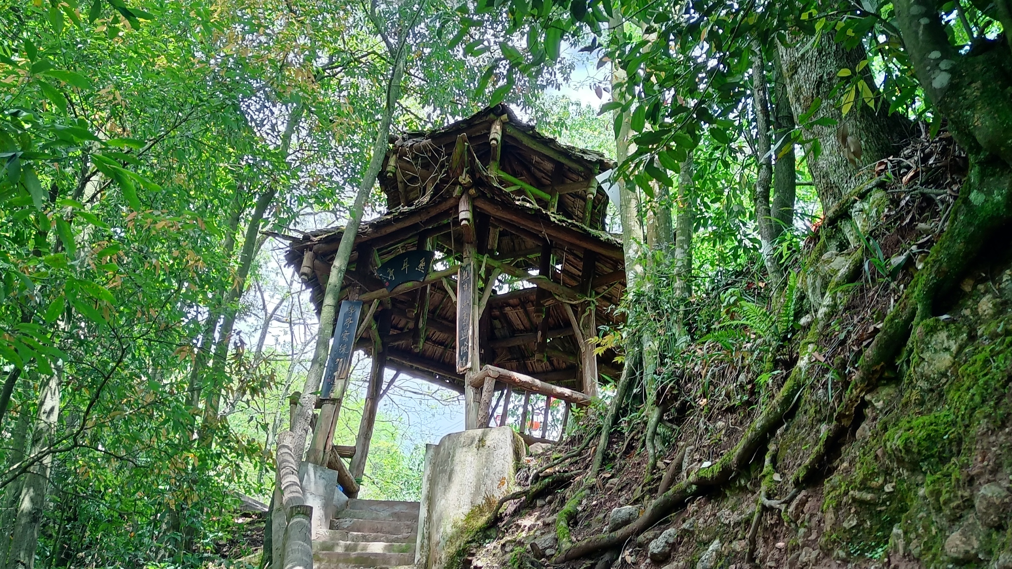 去成都青城山后山攻略,青城后山成都攻略