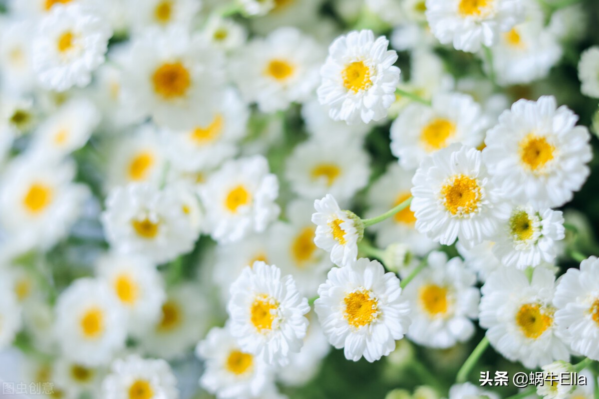 良好的第一印象对客户有什么作用,如何留下良好的第一印象