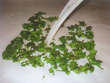 飞蚁防治小妙招,收获蚁怎样保产