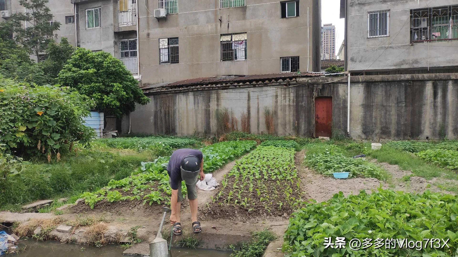 最大的幸福是父母健在,陪伴父母是最大的幸福