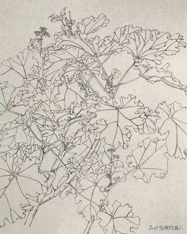 绘画艺术形象及其审美意义,中国绘画的审美特点4字