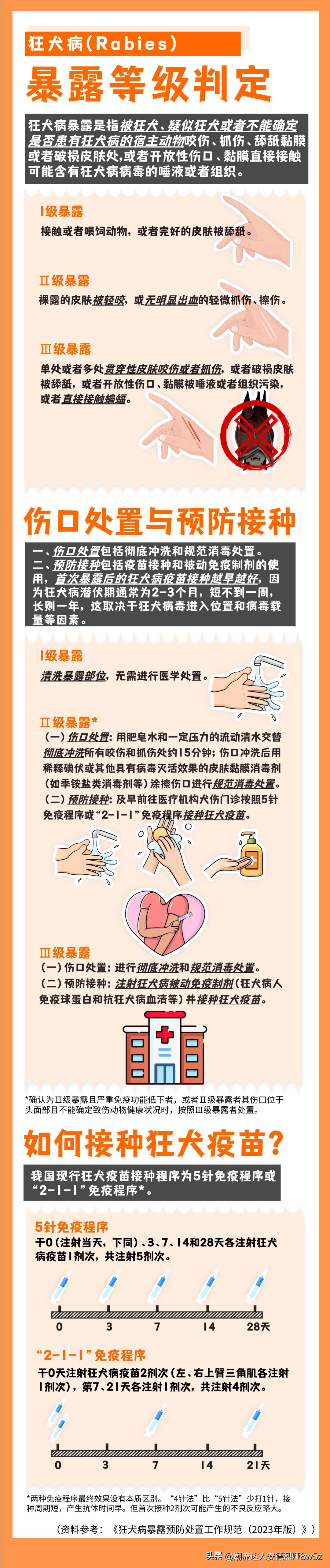 孩子被小动物咬伤后怎么处理,被流浪狗咬伤后正确处理方式