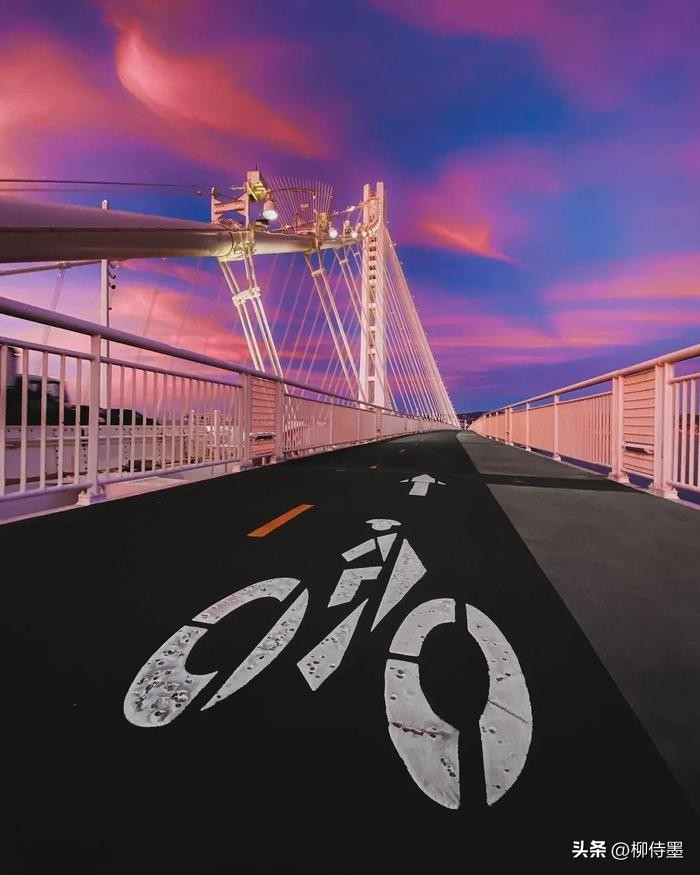 手机摄影自学入门必背口诀,一张相片拍出大片的感觉教程