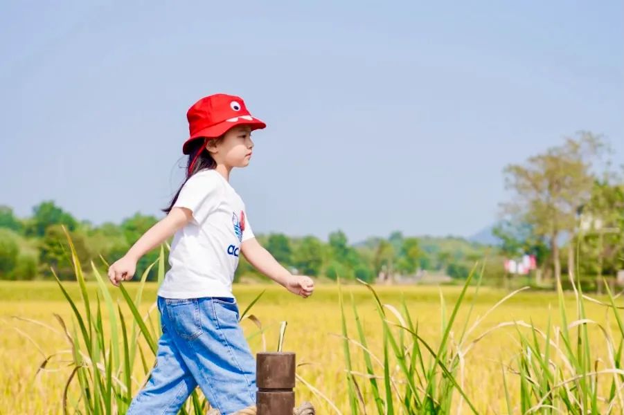 莫干山2000多一晚民宿,莫干山幽静民宿优惠