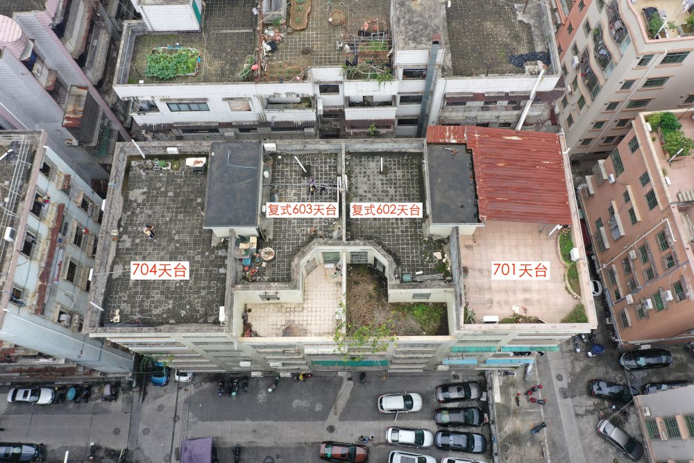 夫妻救助两条弃犬被控盗窃罪文书,喂养弃狗判刑后续